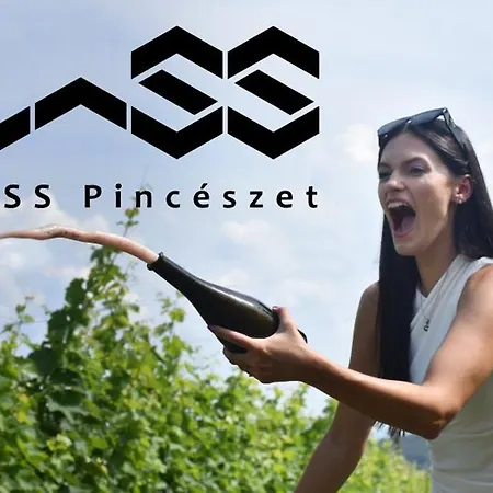 Vass Villa Vendégház és Pincészet Felsőörs-3